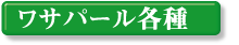 ���T�p�[���e��