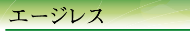 �G�[�W���X