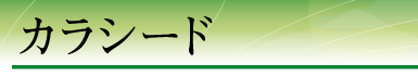 �J���V�[�h