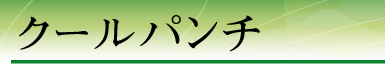 �N�[���p���`