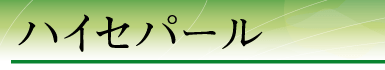 �n�C�Z�p�[��