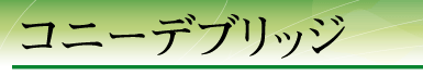�R�j�[�f�u���b�W