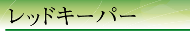 ���b�h�L�[�p�[