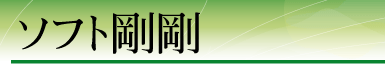 �\�t�g����