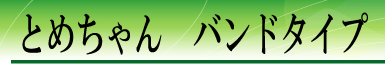 �Ƃ߂����@�o���h�^�C�v
