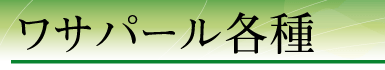 ���T�p�[���e��
