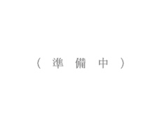 �t���C�Z�[�o�[�g�p��1