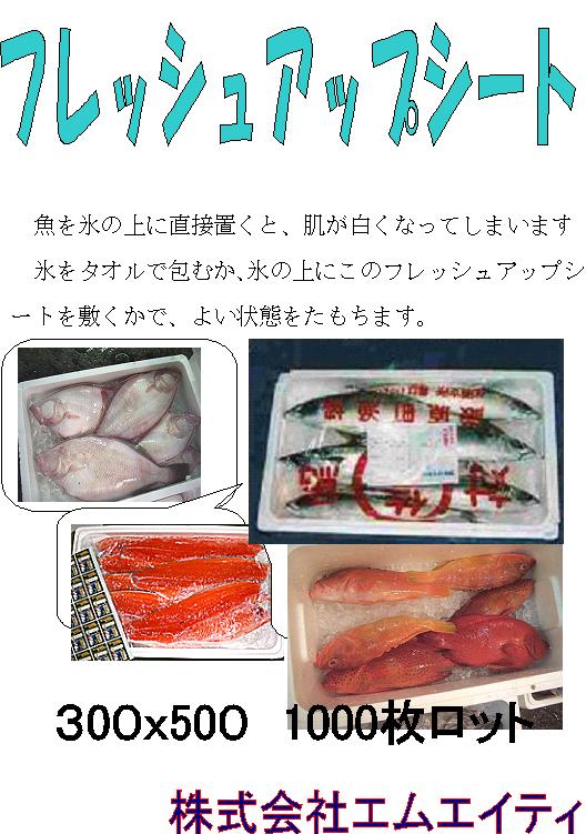 �o�b�g�p�ۑN�V�[�g�J�^���O ��