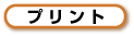 �v�����g